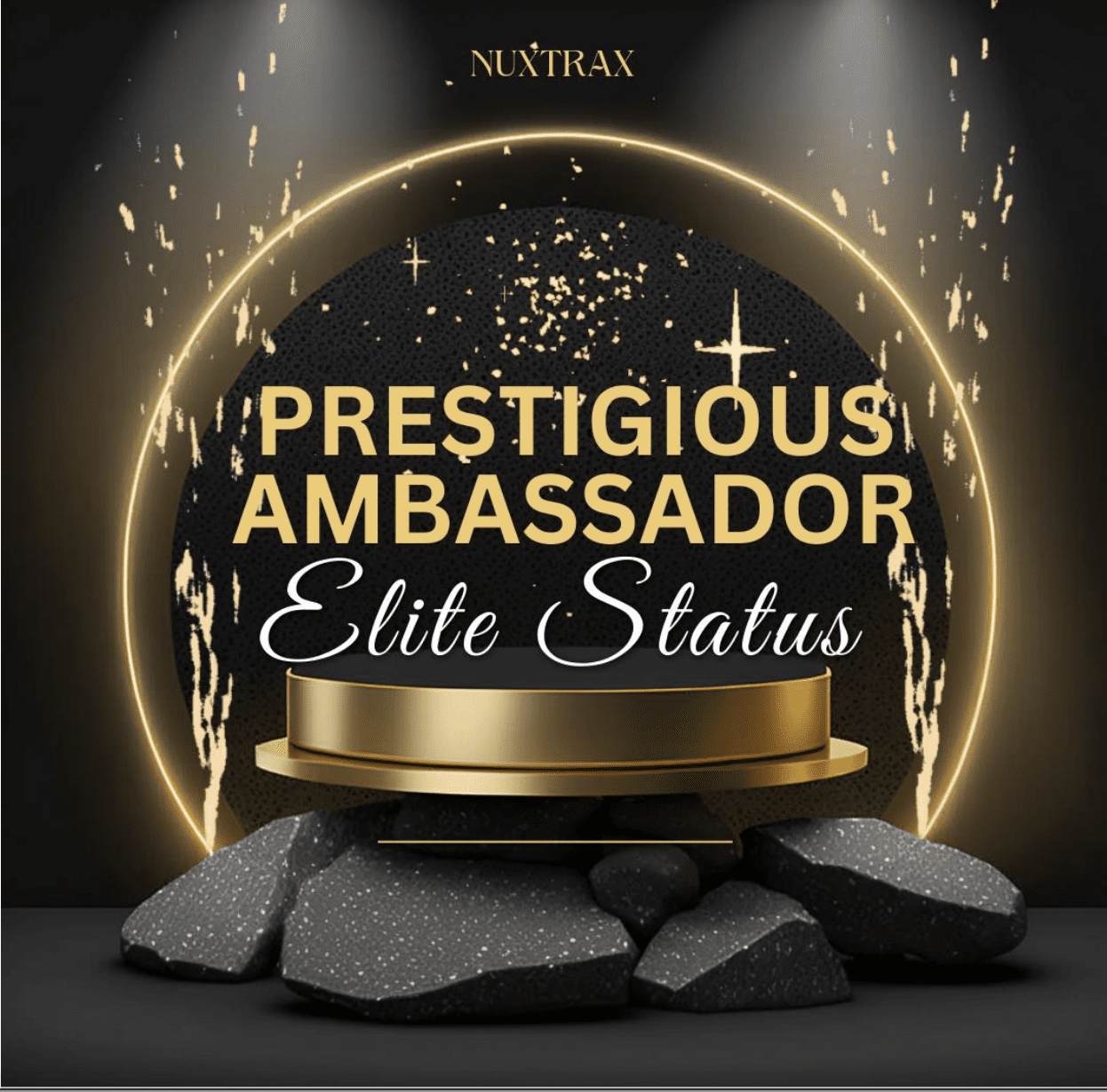Ambassador Program